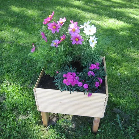 Апартаменты Puutarhahuoneisto Casinonsaari Савонлинна