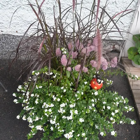 Puutarhahuoneisto Casinonsaari Appartement Savonlinna