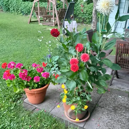 Puutarhahuoneisto Casinonsaari 萨翁林纳